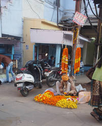 Orange And Yellow