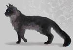 Cinderpelt by VirtaLion