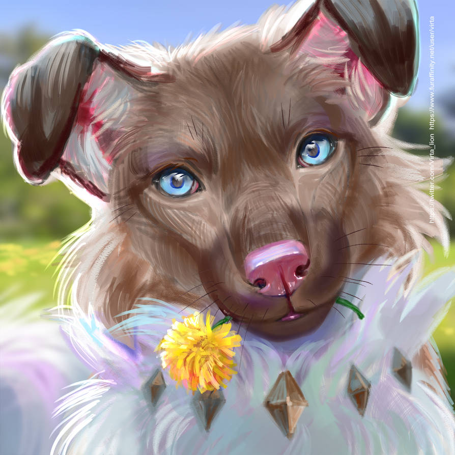 Rucruff Rockruff by VirtaLion on DeviantArt