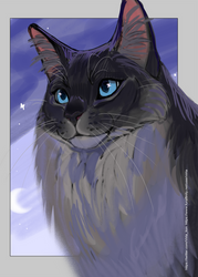 Cinderpelt