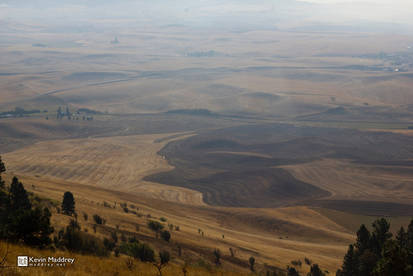 Palouse, Washington