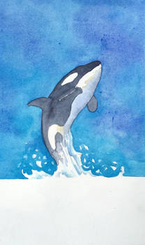 The Energy of an Orca