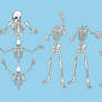 Free Skeleton Pack