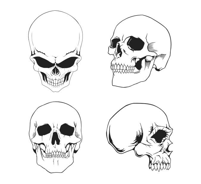 Real Skull Vector Free Vector Skulls Pack by artamp on DeviantArt