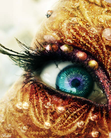 The Golden Fairy s Eye