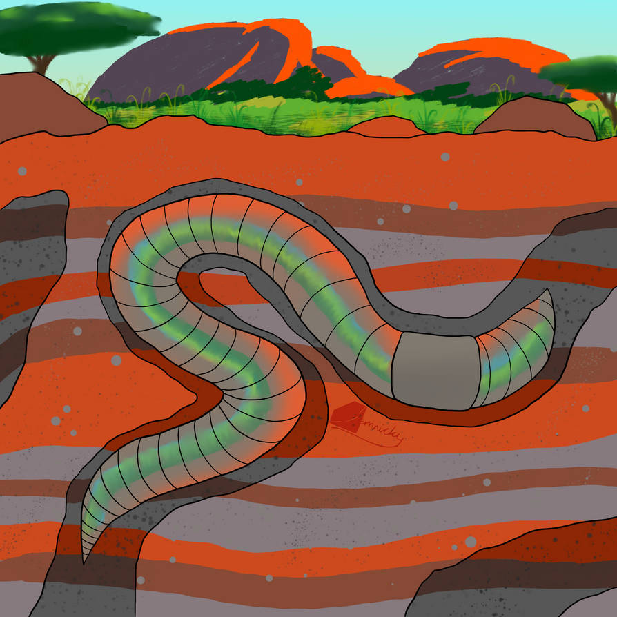 Worm Week 2021 - Giant Gippsland Earthworm by Gemnicky on DeviantArt