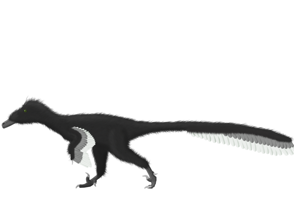 Austroraptor cabazai