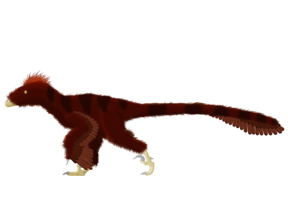 Deinonychus antirrhopus