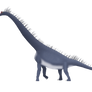 Brachiosaurus altithorax