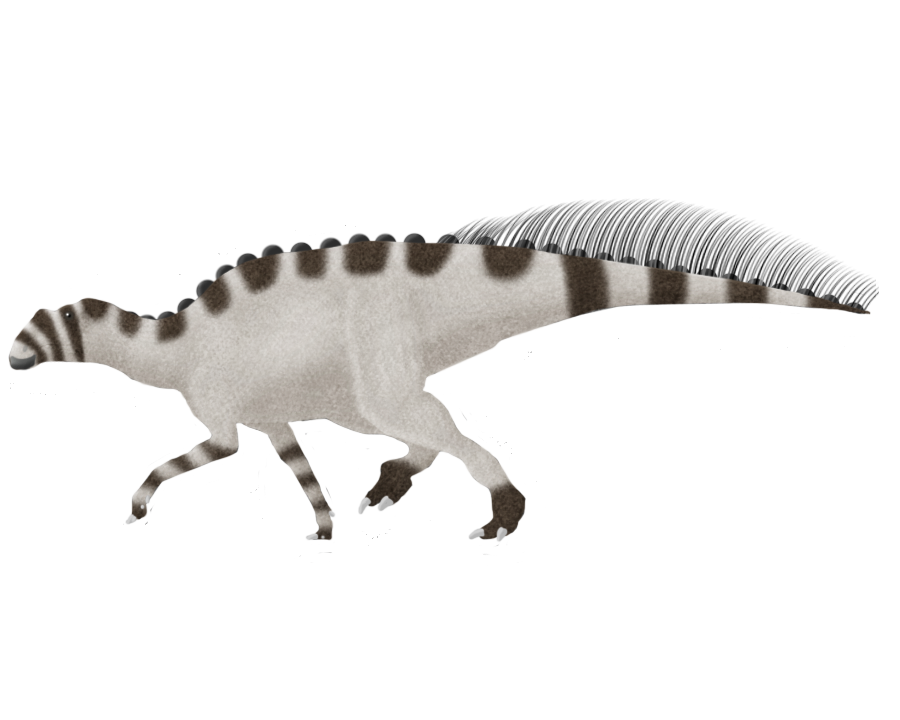 Gryposaurus monumentensis