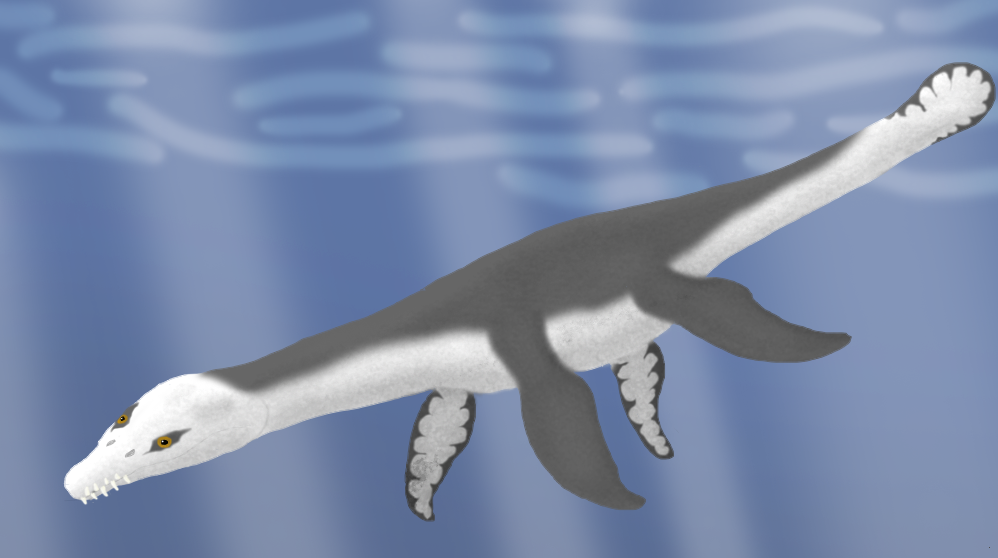 Rhomaleosaurus cramptoni