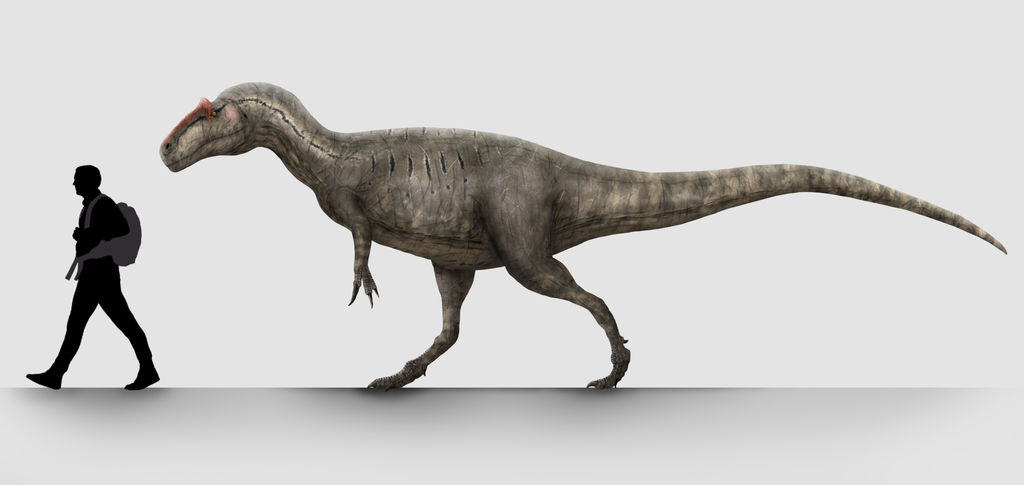 Большой ал 2. Allosaurus_jimmadseni. Большой Аллозавр. Аллозавр палеоарт. Аллозавр большой ал.