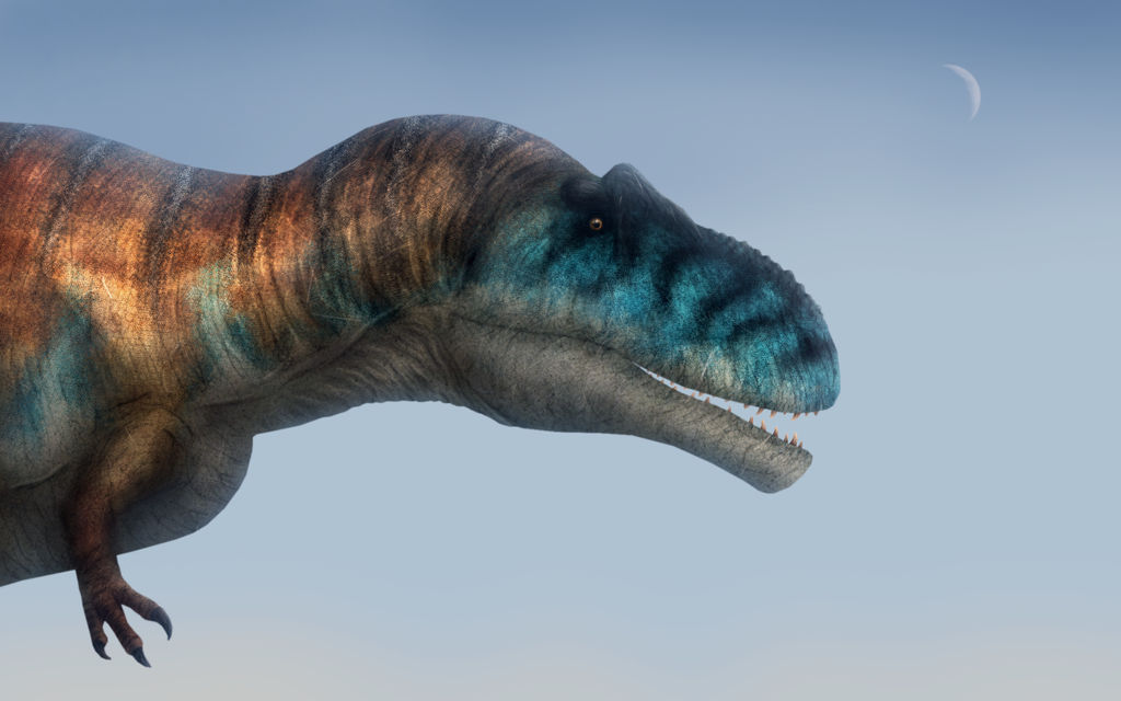 Meraxes gigas by PrimevalRaptor on DeviantArt
