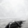 Washed Ashore