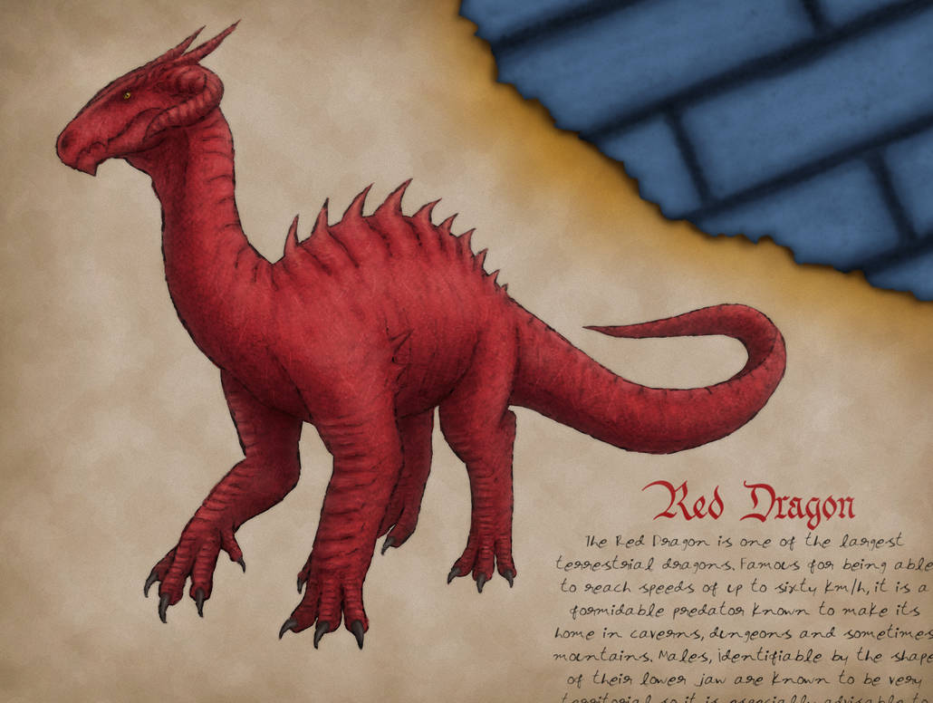 Red Dragon Shell The Red Dragon by PrimevalRaptor on DeviantArt