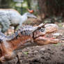 Welcome...to Dinosaur Park (Formation)!