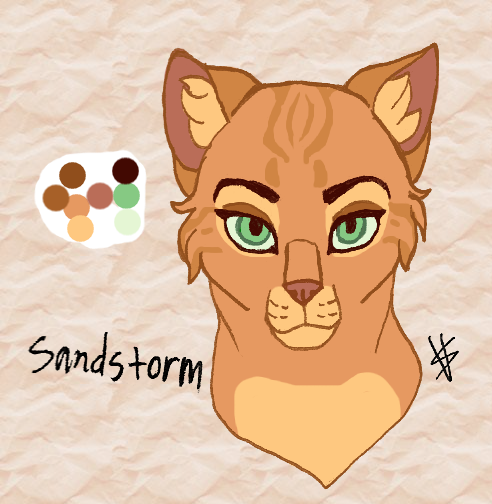 Sandstorm concept