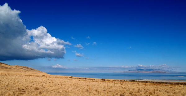 Bison Point to Bridger Bay