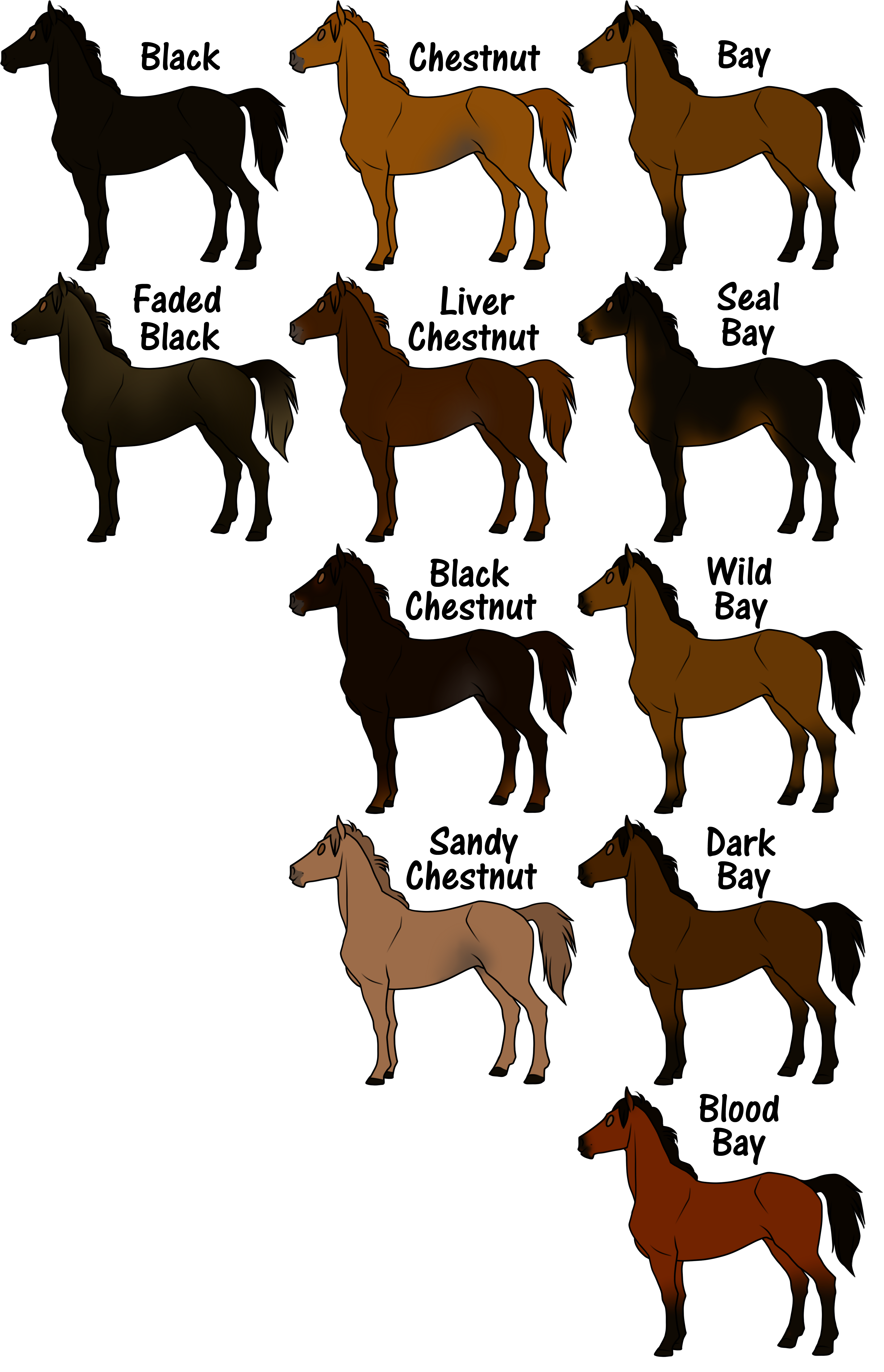 Название лошадок. Генетика мастей лошадей. Наследование мастей и отметин лошадей. Имена для лошадей. Расцветки мустангов лошадей.