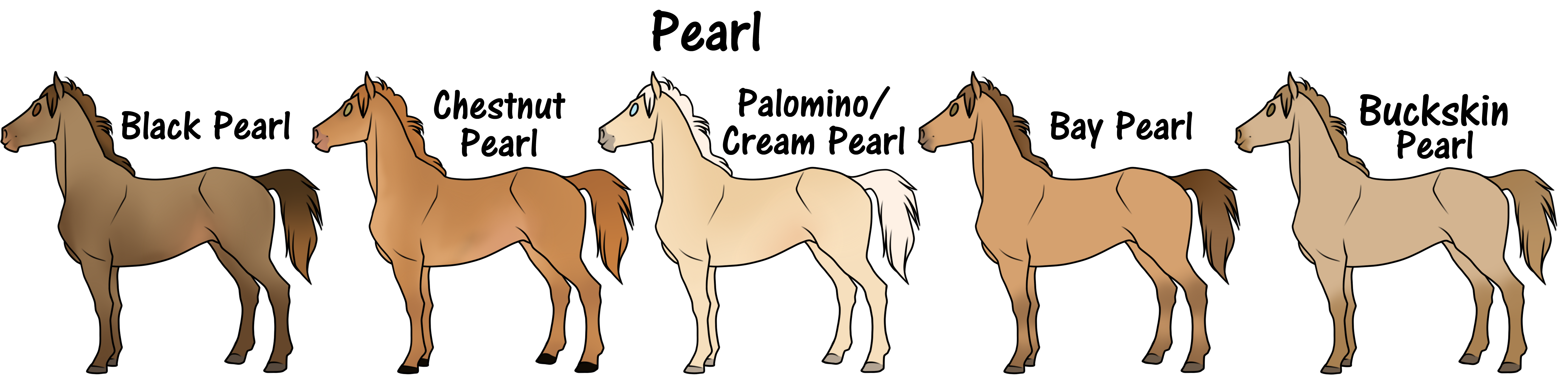 View topic - Çoldwater Çreek Walkers (ÇwÇ) | Guide - Coat Color ...