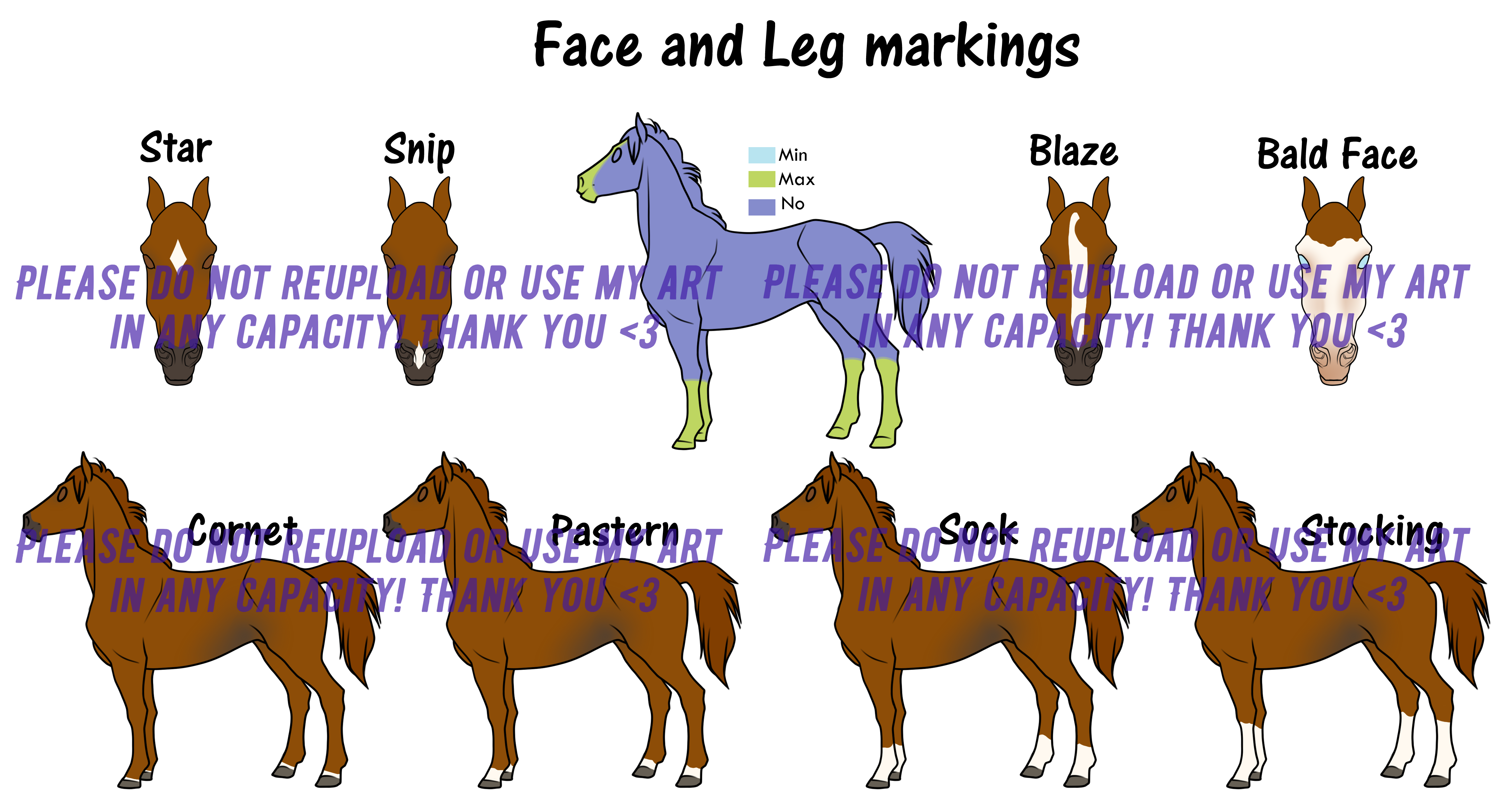 Horse Face Markings Chart