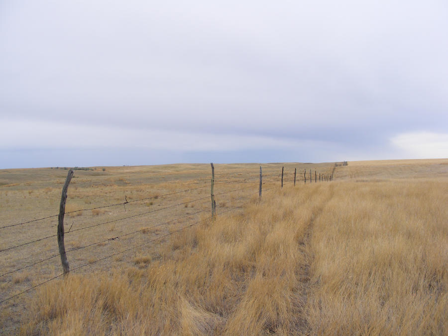 Rural Montana