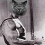 Arnold Swarzekitty