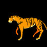 Walking tiger ANIMATION