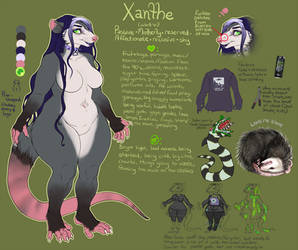 Xanthe the Opossum Ref