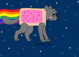 29-November 05, 2011