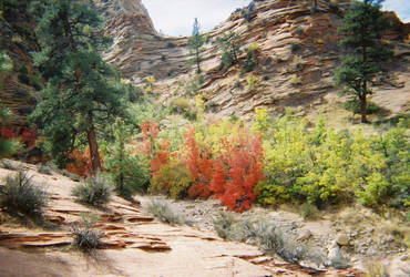 Sandstone in the Foreground