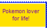 Pokemon Lover