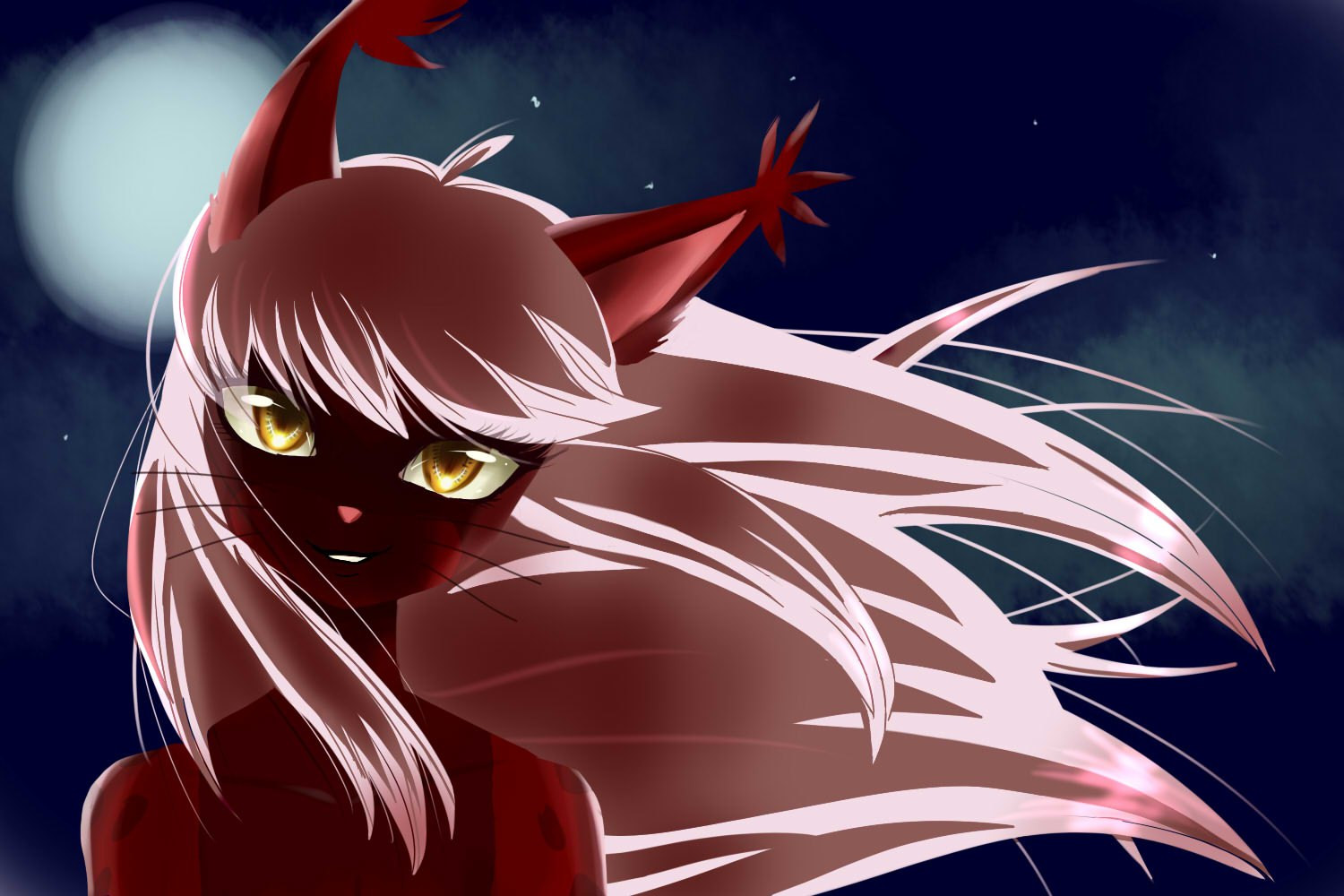 Aku at night