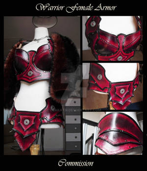 Warrior Female Armor set