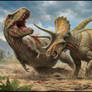 Triceratops vs Tyrannosaurus rex