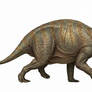 Triceratops by Zachi Evenor