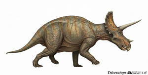 Triceratops by Zachi Evenor