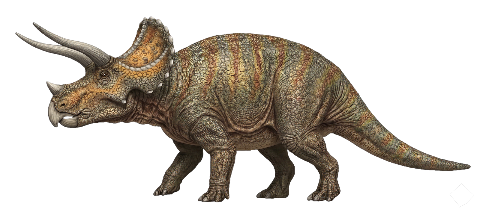 Triceratops - 66 - Zachi Evenor