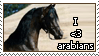 Arabian by Cathines-Stamps