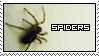 Spiders by Cathines-Stamps