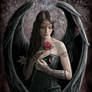 Dark Angel