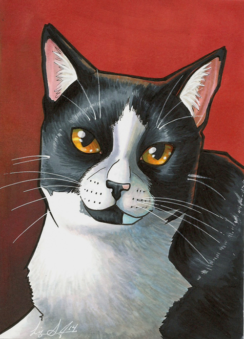 Kitty Portrait