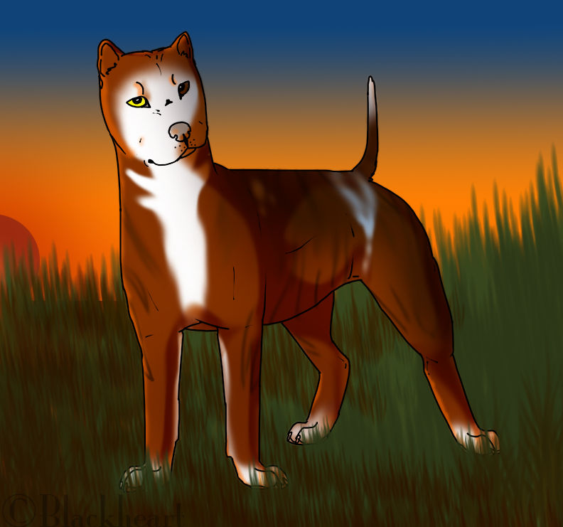 Ex Sunset by spacepitbull on DeviantArt