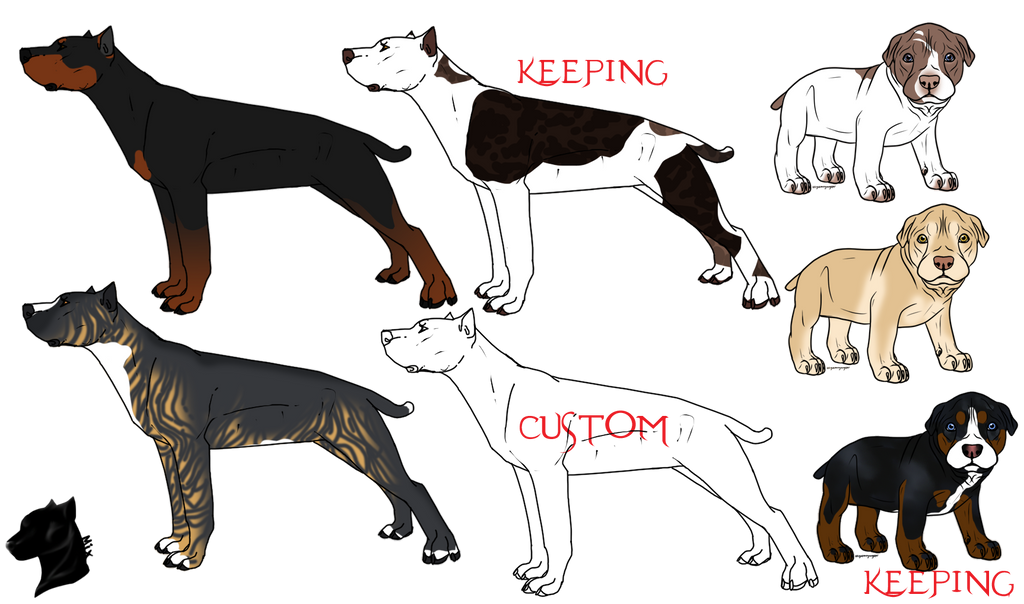 African Leopard Dog Imports (Open!) by spacepitbull on DeviantArt