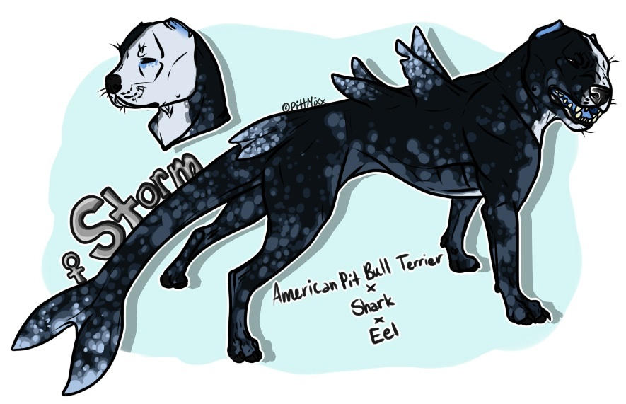 Storm Reference by spacepitbull on DeviantArt