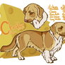 Cheeder Cheese- Premade Character for Sale