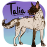 Talia-Premade Character for Sale