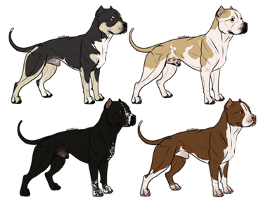 Doberman Mix Adoptable Closed by spacepitbull on DeviantArt