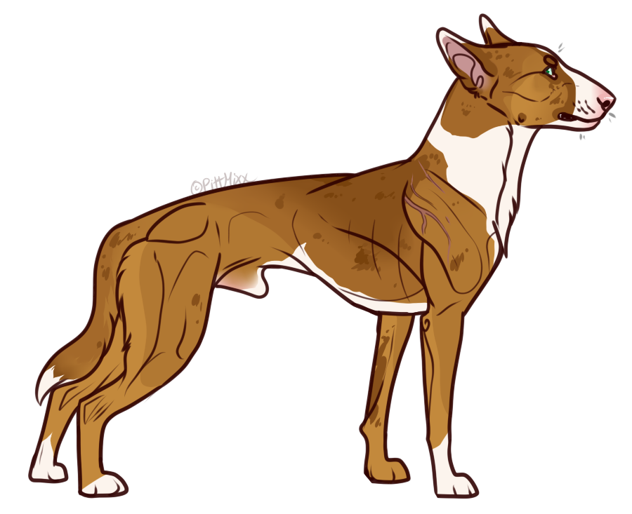 Bull online terrier lurcher