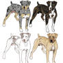 Catahoula Bulldog Imports- On Hold 